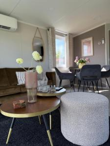 TETchalet met wellness tuin