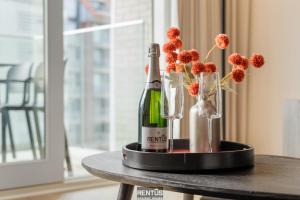 Newport 3 - comfortable luxury apartment near the sea