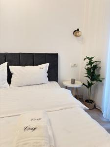 One bedroom Apartments at Adora Park Arad