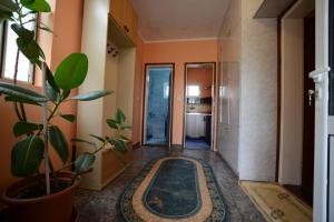 President Holiday home