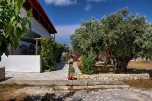 Mikro Nisi Studios Zakynthos Greece