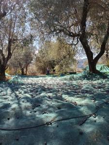 Casale del Tempo Lento