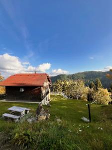 Sedmakovo - Počitniška hiša v naravi - Ljubno ob Savinji