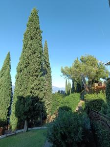 Bellavista Eremitaggio