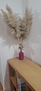 Cozy portion of property near Bellosguardo