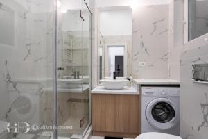 City Heart Apartment Regina Elisabeta