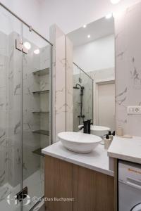 City Heart Apartment Regina Elisabeta