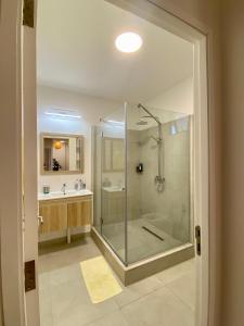 Summit & Sea Penthouse