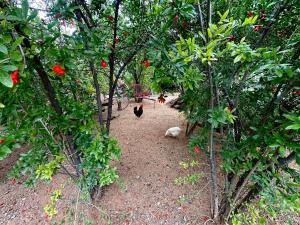 Rus n Bietjie Guest House