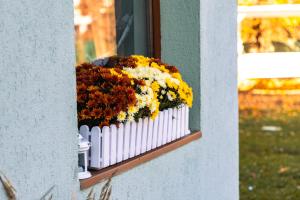 PENSIUNE RESTAURANT POIANA AVRIGULUI loc de joaca pentru copii