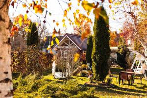 PENSIUNE RESTAURANT POIANA AVRIGULUI loc de joaca pentru copii