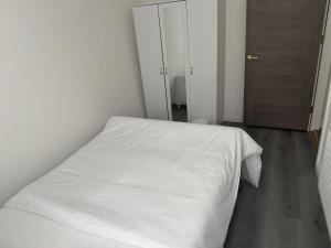 Three-Bedroom Flat Located off Oxford Street