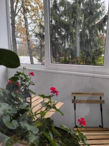 Ludza Stay Apartment