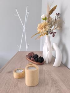 Ludza Stay Apartment