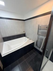 Ostrava Karolina Apartments