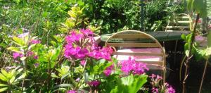 The Haven 9 - Private group stay in Naivasha