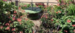 The Haven 9 - Private group stay in Naivasha