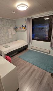 Viihtyisä ja kodikas omakotitalo isolla pihalla