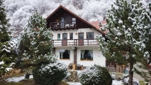 Pensiunea Piatra-Craiului