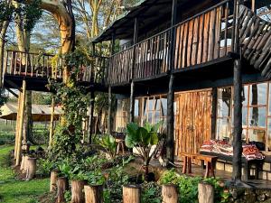 TREE HOUSE Lodge