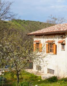 Paradiso Istriano - Oasi and Sole