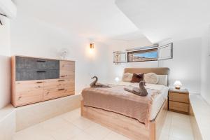 Moser Living Premium Apartments - Puerto Rico