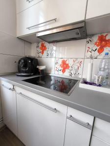 Lend Grand Apartment