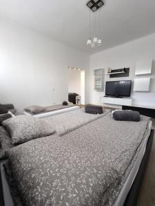 Lend Grand Apartment