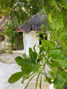 MK BEACH Playa Del Carmen