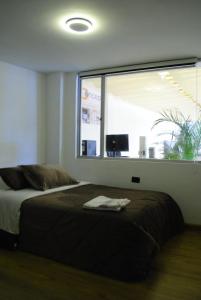 Amplio Departamento con Jacuzzi en el centro de Quito