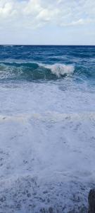 Stefanelli Tropea Home