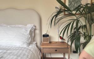 The Shades - Bliss In The Heart of Windermere