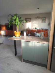 Maison de famille dans quartier calme sur lîle dOléron