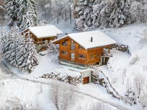 Above the Clouds - spacious chalet with great view