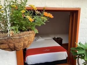 Hotel Casa Posada Don Chepe