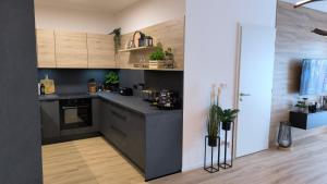 Apartmán Krušnohorec pod Plešivcem