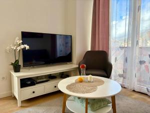 Comfortable City Apartment