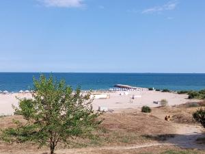 1BR Budget Apartment near Beach