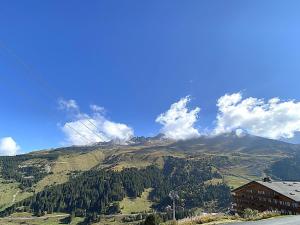 Bel Appartement 43m² à Méribel Mottaret avec Parking et WIFI - FR-1-411-979