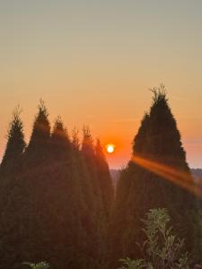 Glamping in a Bungalow Deluxe by the Forest w Swimmingpool near Golf and the Baltic Sea Beach