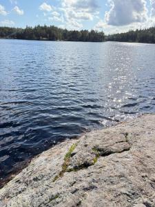 Glamping in a Bungalow Deluxe by the Forest w Swimmingpool near Golf and the Baltic Sea Beach