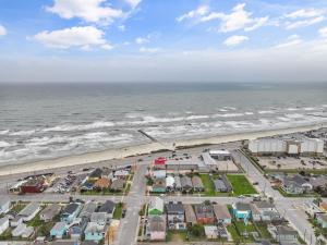 Low Tide Studio Apartment Near UTMB and Seawall