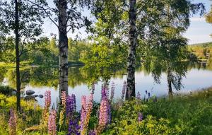 2 Bedroom Awesome Home In Åmål