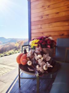 Căsuța de După Deal, Ponor