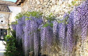 Les Gites des Chats - réservation de La maison des chats et de La grange