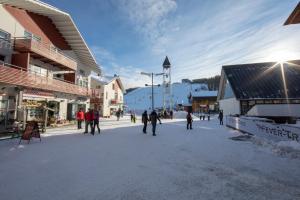 Ski Center Alpine Houses A5