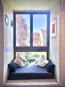 Basel City Apartment