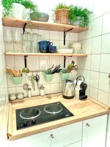 Muzeum design flats át downtown