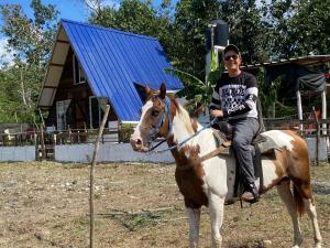 Canada House Queen bed in 2nd floor dbl sofa bed in 1st floor BBQ Private pool, river