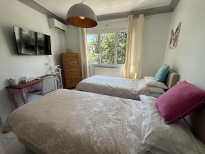 2 BR Apartment in the center of Cannes - 2305